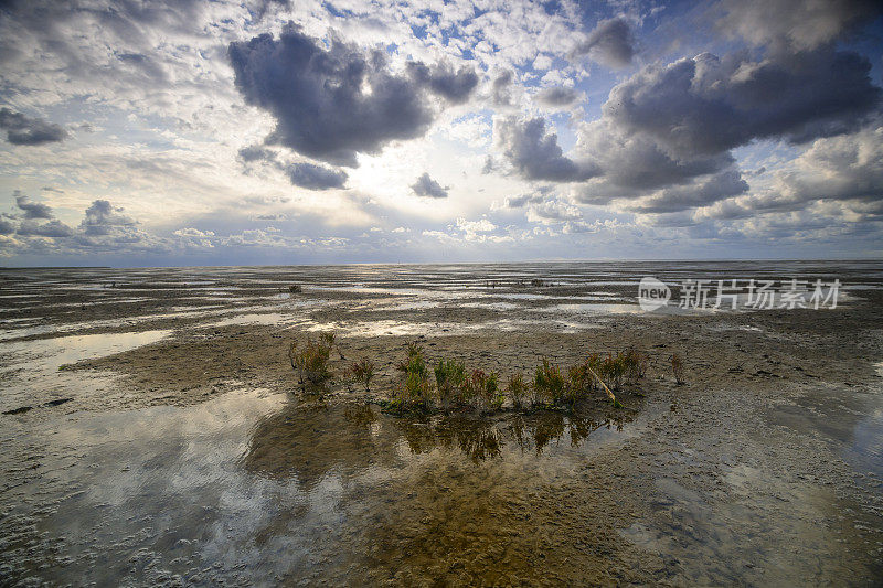 在荷兰北部的瓦登海自然保护区“de Wadden”，有潮汐沙滩的空旷景观